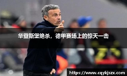 华登斯堡绝杀，德甲赛场上的惊天一击
