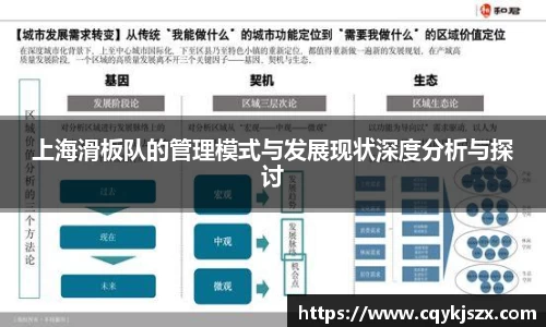 上海滑板队的管理模式与发展现状深度分析与探讨